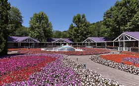 Unique Garden